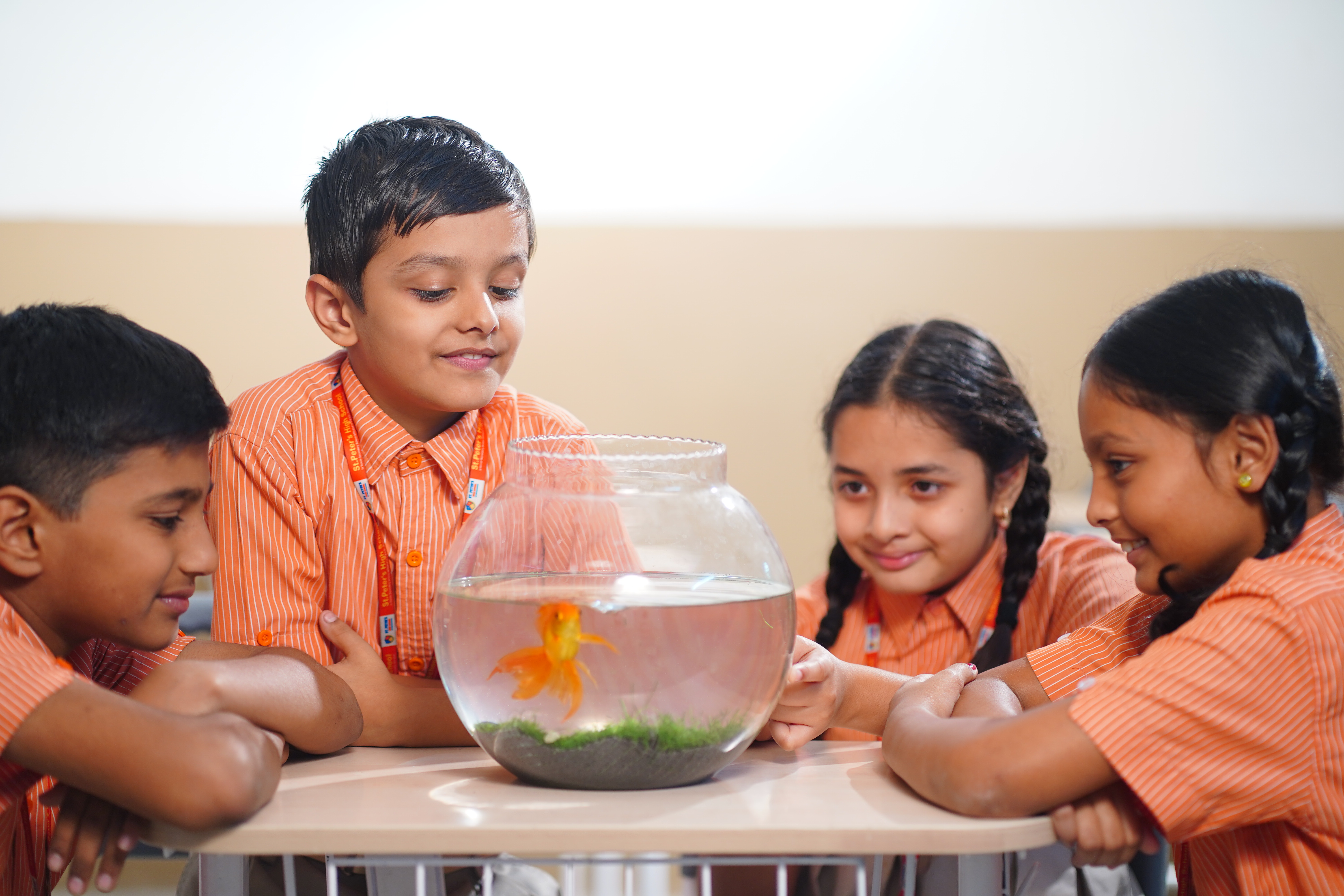 Preparatory Stage - Grades III to V